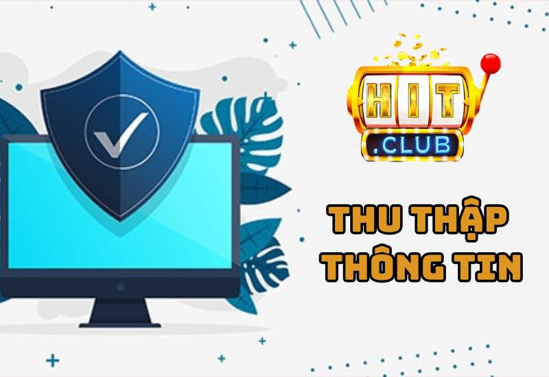 Nội dung quyền thu thập thông tin